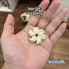 Waterdish / Tempat Ulat / Tempat Kalsium Gecko Model Dimsum