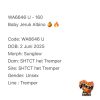 WA6646 U | Baby Jeruk Albino 🍊🔥