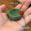 Waterdish Model Kaktus