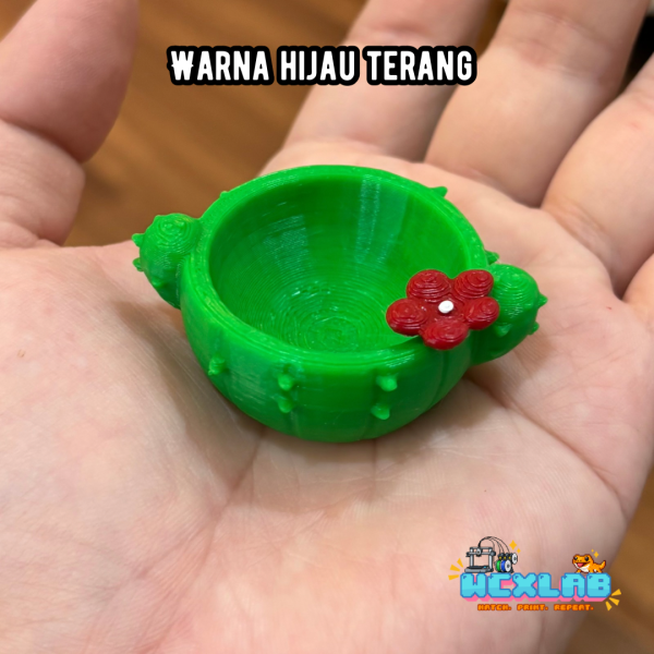 Waterdish Model Kaktus