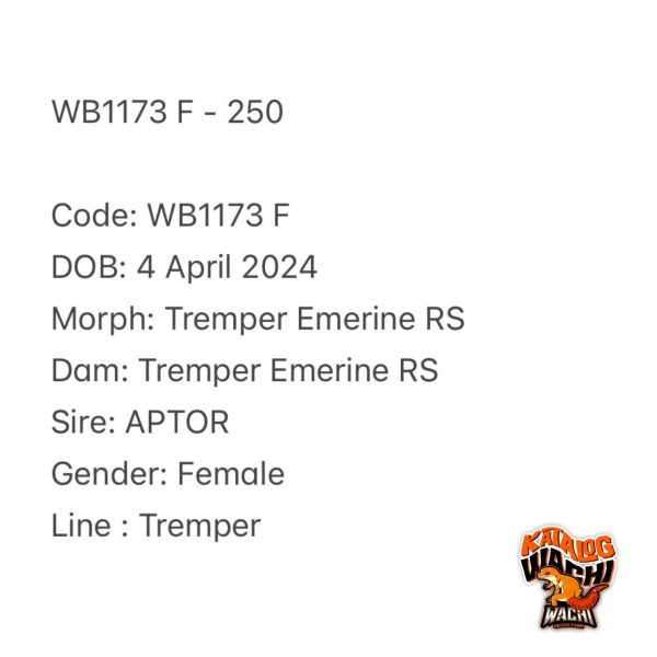 WB1173 F