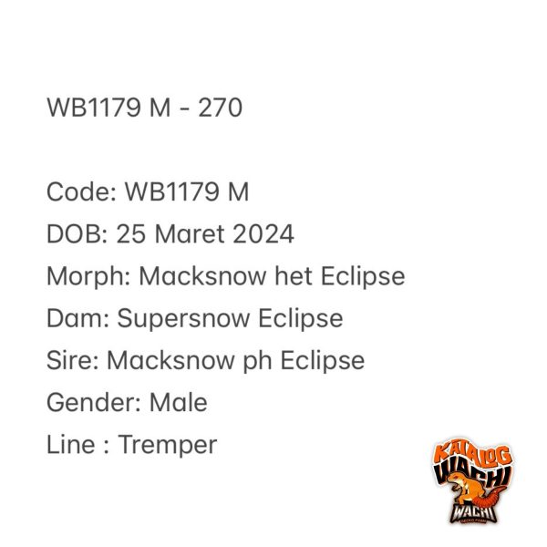 WB1179 M