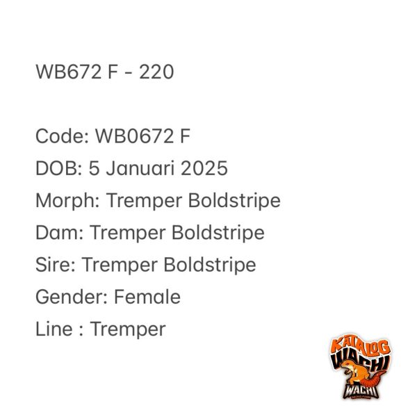 WB672 F