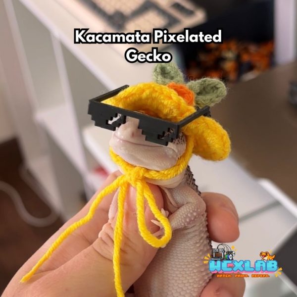Kacamata Pixelated Gecko