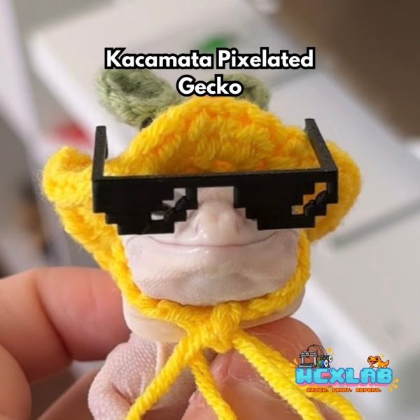 Kacamata Pixelated Gecko