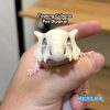 Topeng Cubone