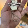Fidget Clicker Gecko