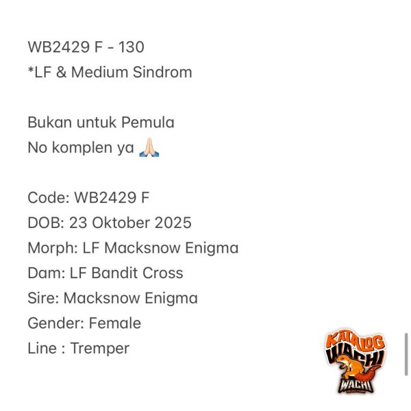WB2429 F