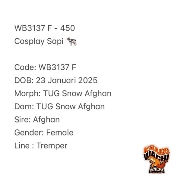 WB3137 F | Cosplay Sapi 🐄
