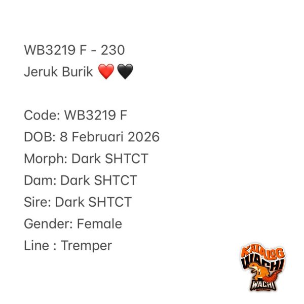 WB3219 F | Jeruk Burik ❤️🖤