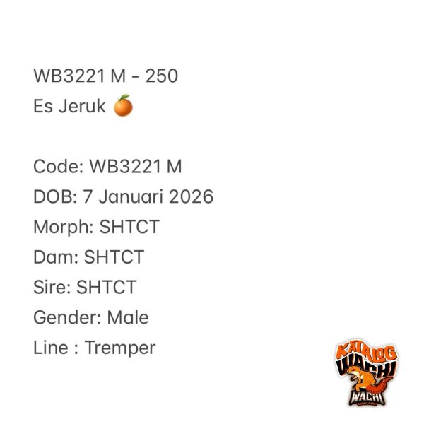 WB3221 M | Es Jeruk 🍊