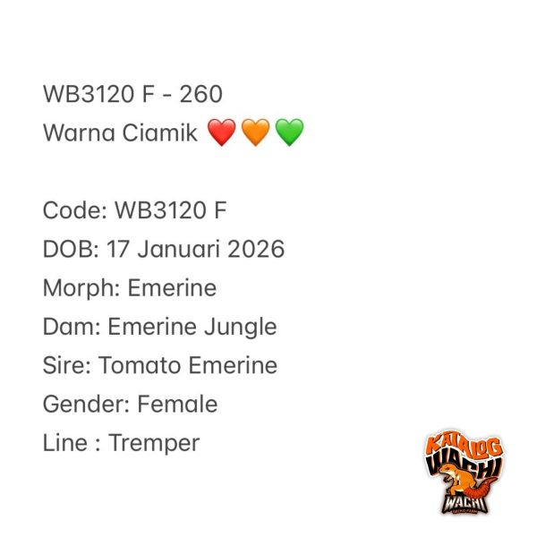 WB3120 F | Warna Ciamik ❤️🧡💚