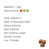 WB3161 F | Warna Ciamik ❤️🧡💚