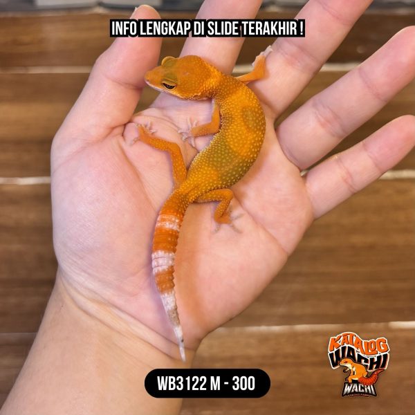 WB3122 M | Es Jeruk Pedas 🥵🌶️