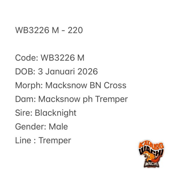WB3226 M