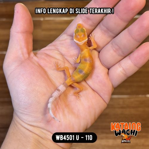WB4501 U