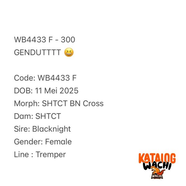 WB4433 F | GENDUTTTT 😆