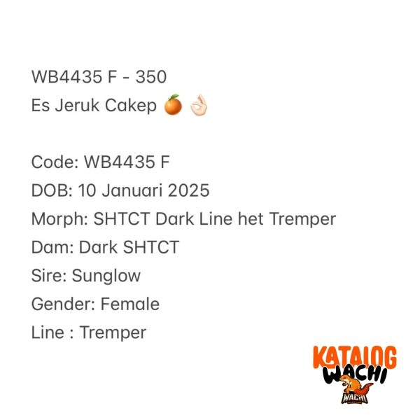 WB4435 F | Es Jeruk Cakep 🍊👌🏻