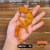 WB4276 F | Cosplay Charizard 🔥🔥🔥 Ovulasi, Siap Kawin 👌🏻