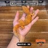 WB4476 M | Pedas Banget 🥵🌶️