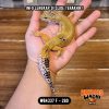 WB4337 F | Ovulasi, Siap Kawin 👌🏻
