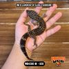 WB4280 M | Gecko Ireng 🖤🖤🖤