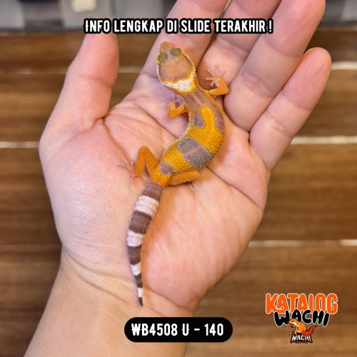 WB4508 U