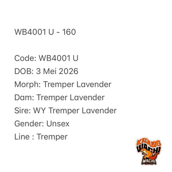 WB4001 U