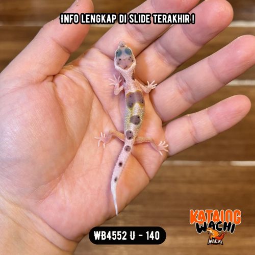WB4552 U