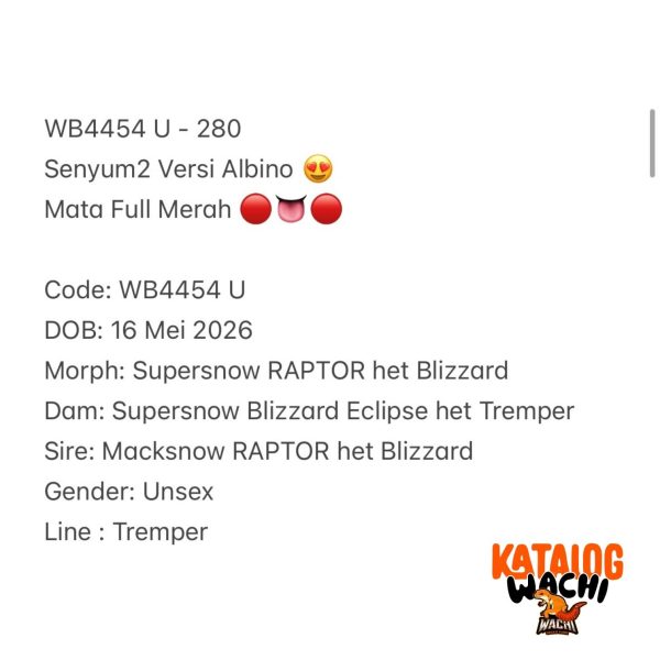 WB4454 U | Senyum2 Versi Albino 😍 Mata Full Merah 🔴👅🔴
