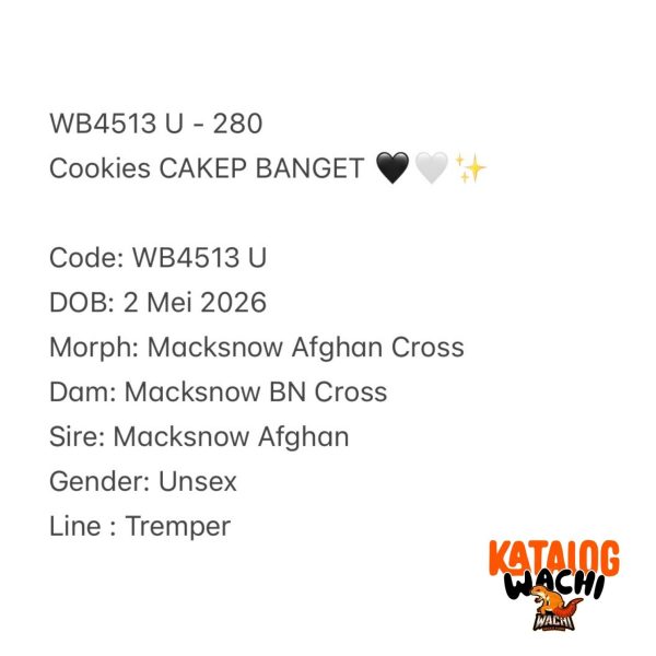 WB4513 U | Cookies CAKEP BANGET 🖤🤍✨