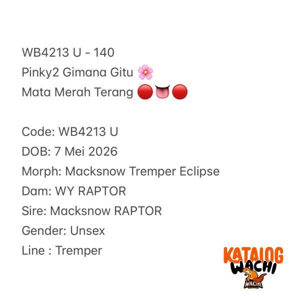 WB4213 U | Pinky2 Gimana Gitu 🌸 Mata Merah Terang 🔴👅🔴