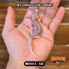 WB4514 U | Baby Paling Senyum 🤌🏻 Calon Artis Reels 🤩 Mata Full Hitam ⚫️👅⚫️