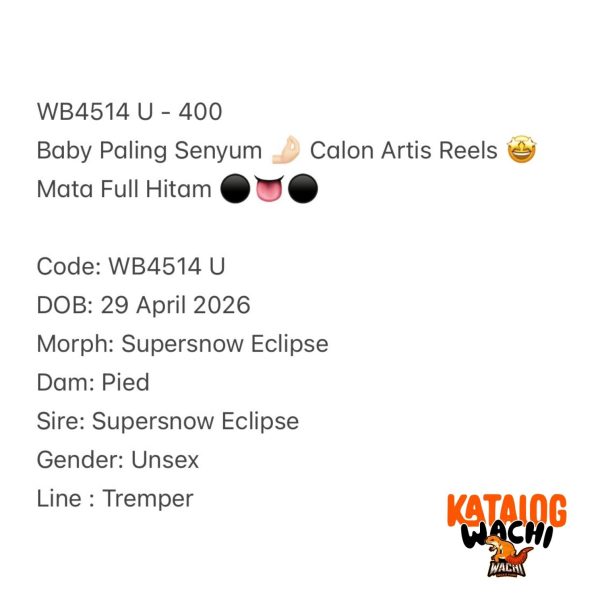 WB4514 U | Baby Paling Senyum 🤌🏻 Calon Artis Reels 🤩 Mata Full Hitam ⚫️👅⚫️
