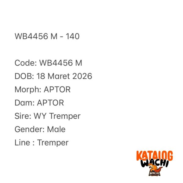 WB4456 M