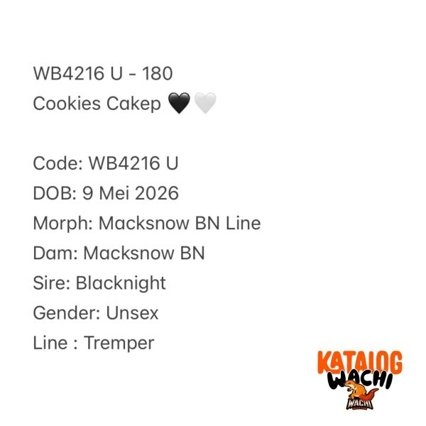 WB4216 U | Cookies Cakep 🖤🤍