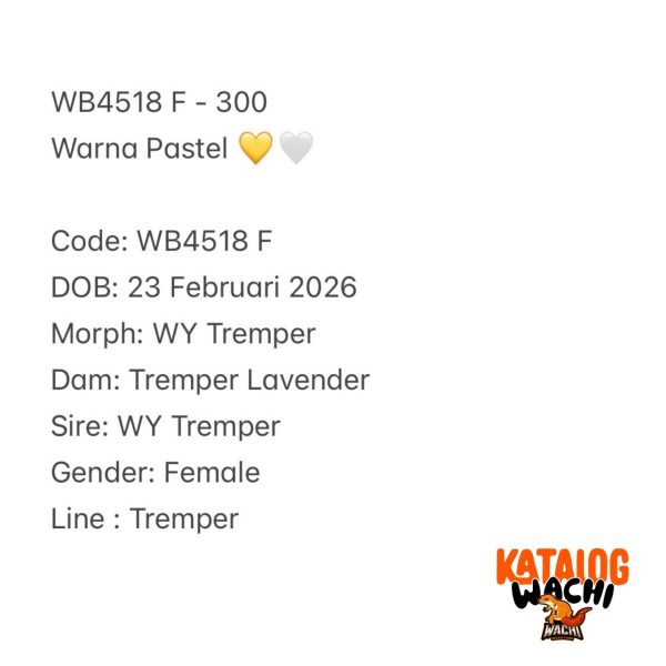 WB4518 F | Warna Pastel 💛🤍