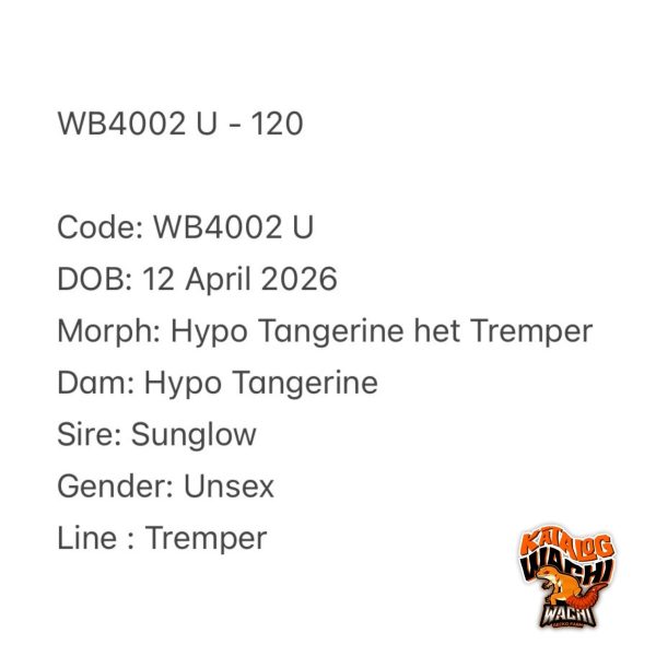 WB4002 U