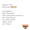 WB4521 F | Warna Ciamik ❤️🧡💚