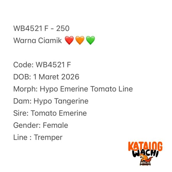 WB4521 F | Warna Ciamik ❤️🧡💚