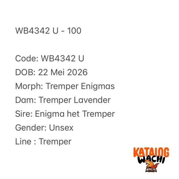 WB4342 U