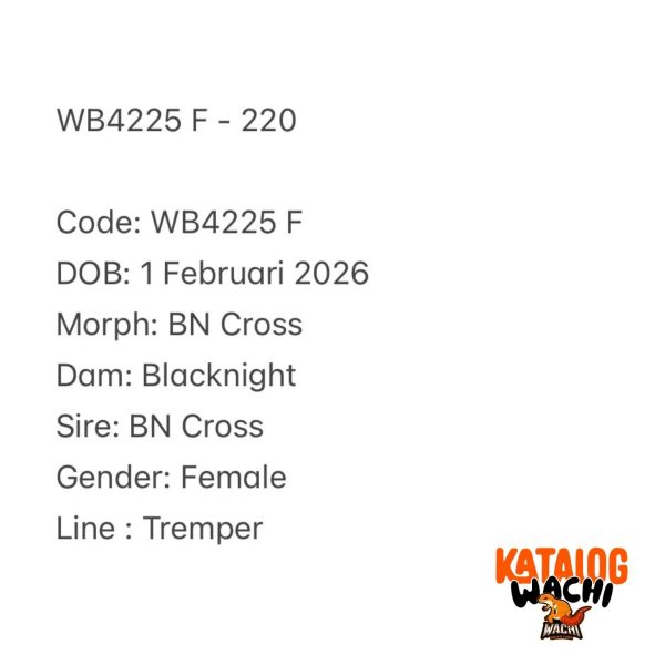 WB4225 F