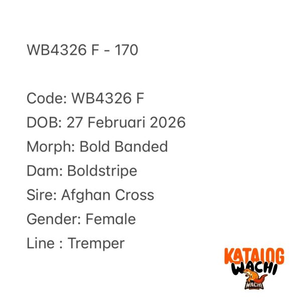 WB4326 F