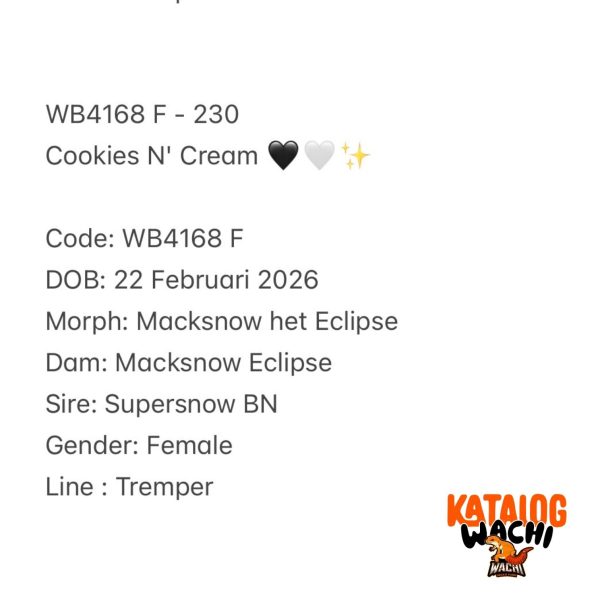 WB4167 F | Cookies Cakep 🖤🤍✨