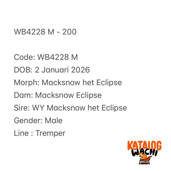 WB4228 M