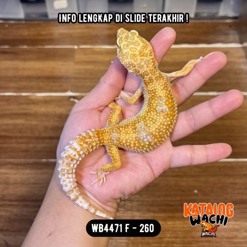 WB4471 F