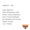 WB4331 F