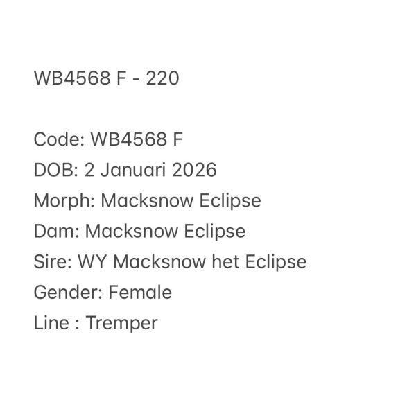 WB4568 F