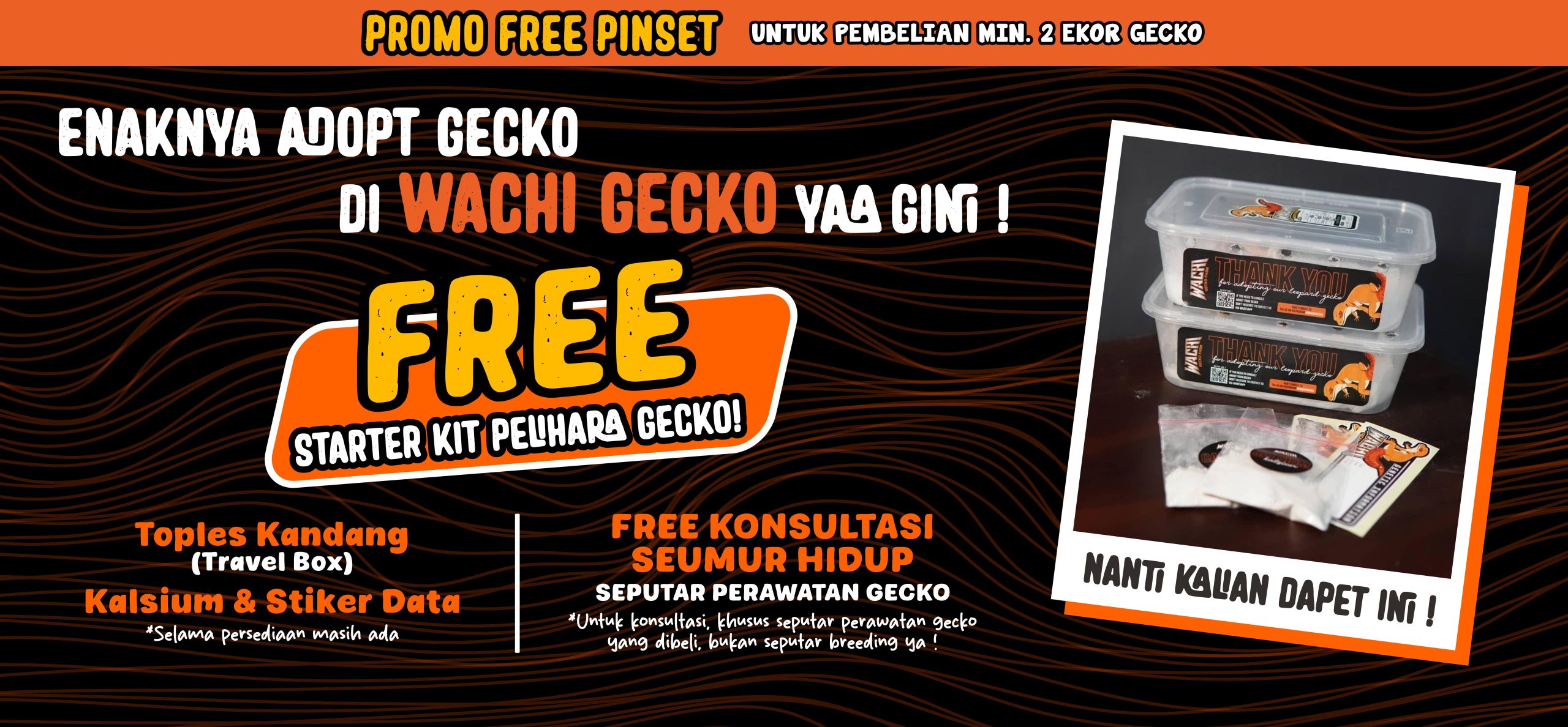 Main Banner02