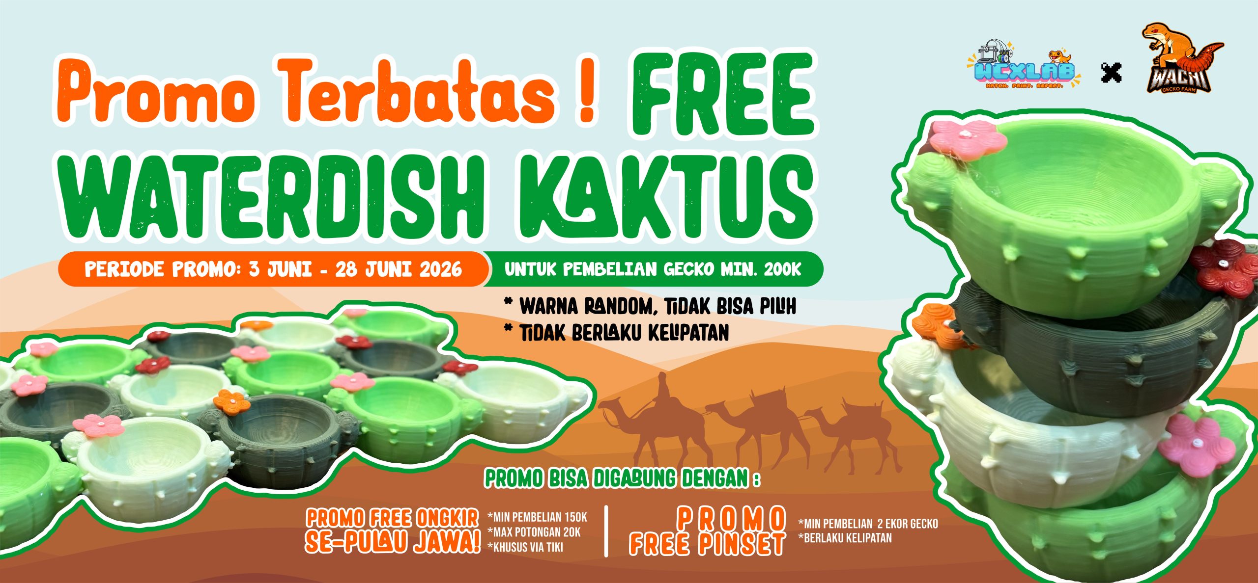 PROMO KAKTUS